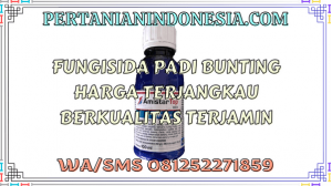 Fungisida Padi Bunting  Harga Terjangkau Berkualitas Terjamin